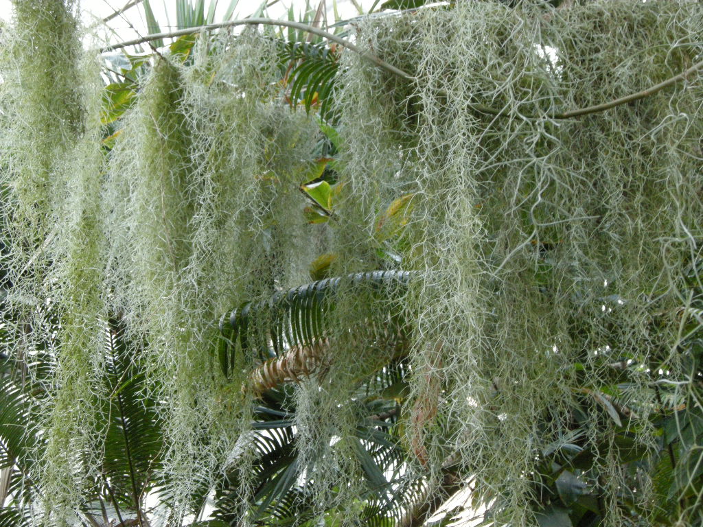 DSCN8566.JPG