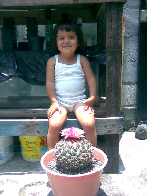 Imagen114.jpg