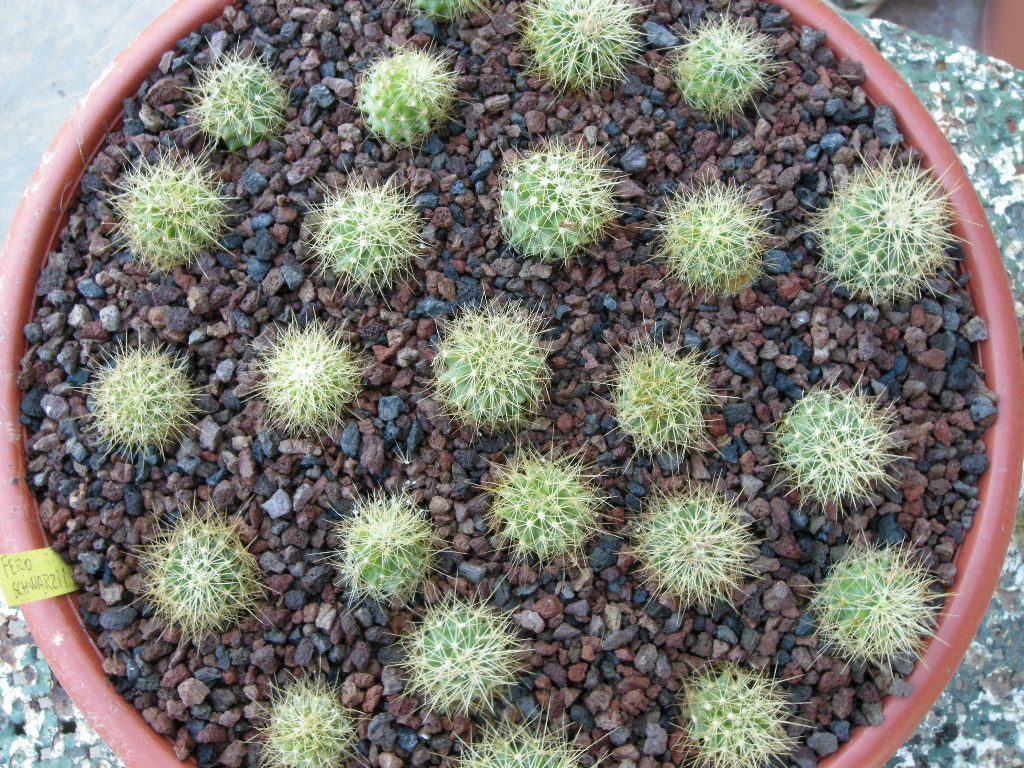 DSCN8974.JPG