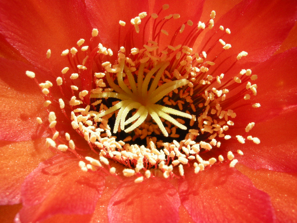 DSCN9030.JPG