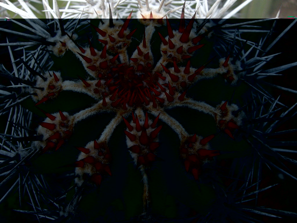 DSCN9071.JPG