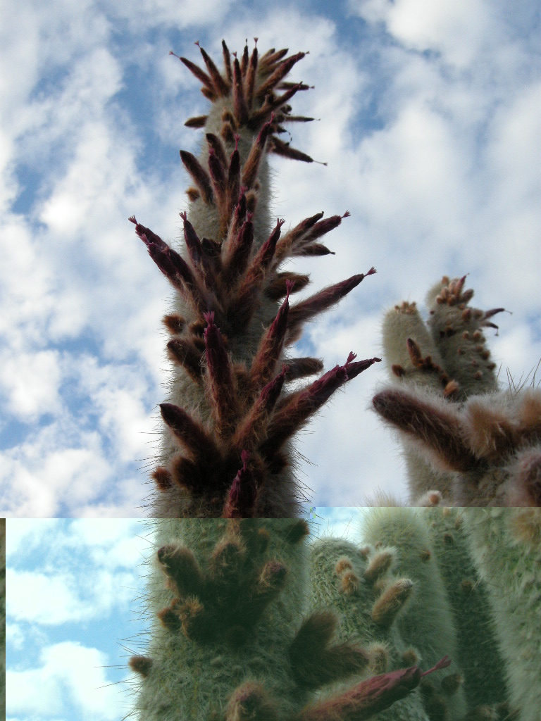 DSCN9074.JPG