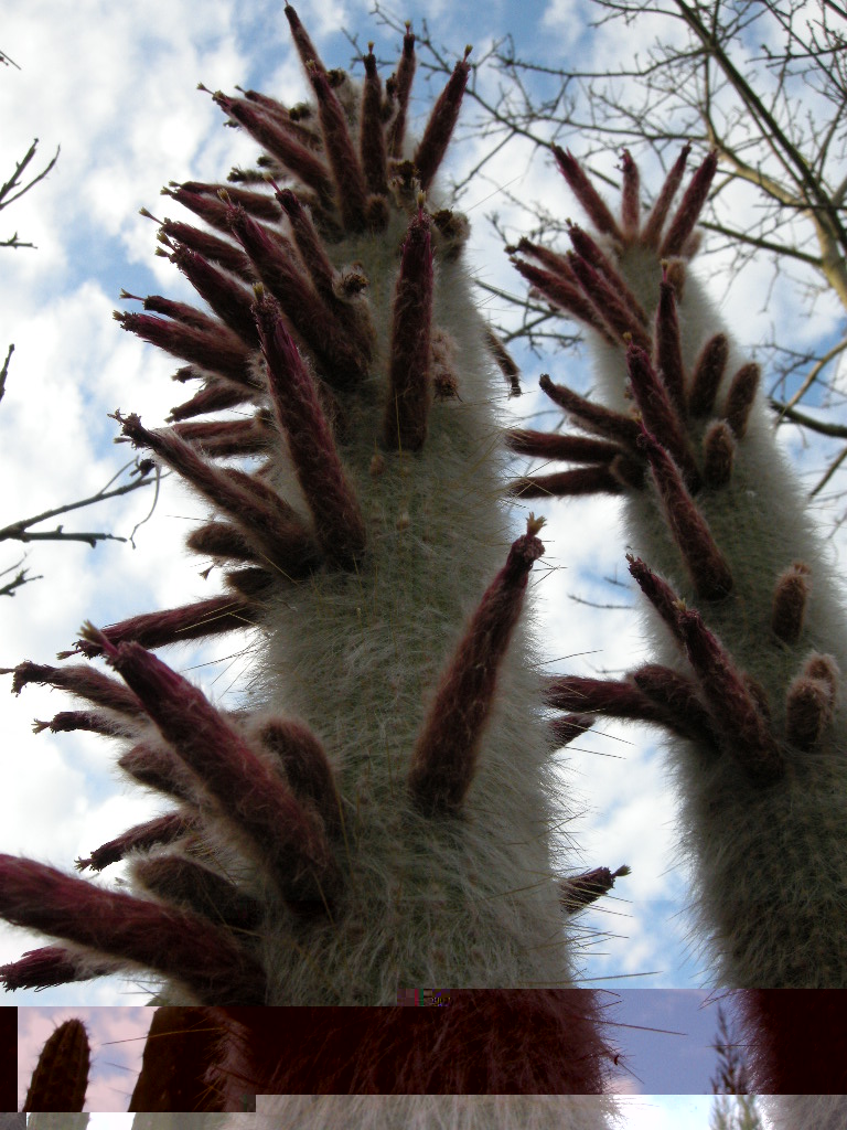 DSCN9079.JPG