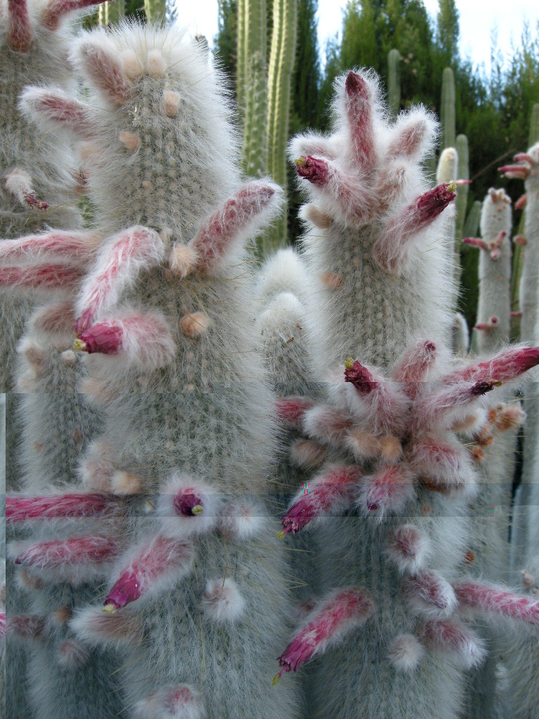 DSCN9080.JPG