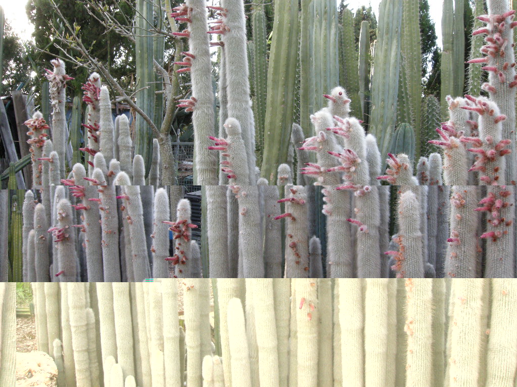 DSCN9083.JPG