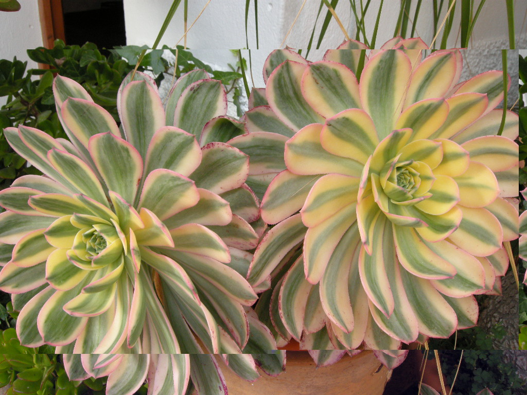 DSCN9086.JPG